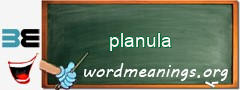 WordMeaning blackboard for planula